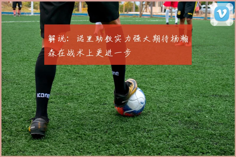 解说：诺里助教实力强大期待杨瀚森在战术上更进一步
