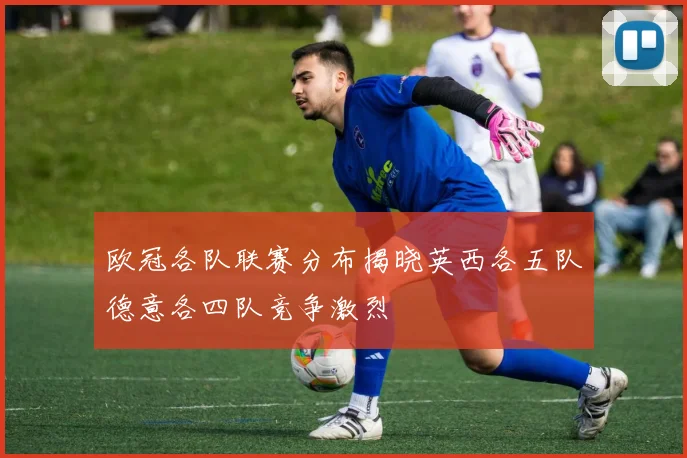 欧冠各队联赛分布揭晓英西各五队德意各四队竞争激烈
