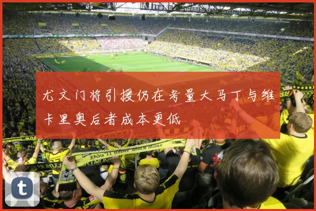 尤文门将引援仍在考量大马丁与维卡里奥后者成本更低