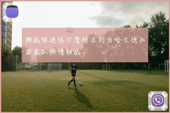 挪威球迷恪守詹特法则为哈兰德和国家队热情助威