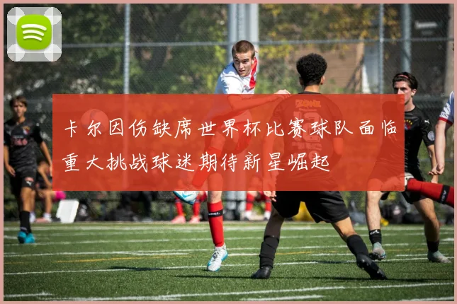 卡尔因伤缺席世界杯比赛球队面临重大挑战球迷期待新星崛起